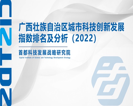 观看操逼网站【成果发布】广西壮族自治区城市科技创新发展指数排名及分析（2022）